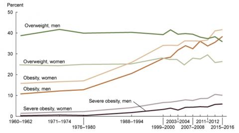 Obesity Trends